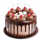 pngtree chocolate birthday cake png image 16131931